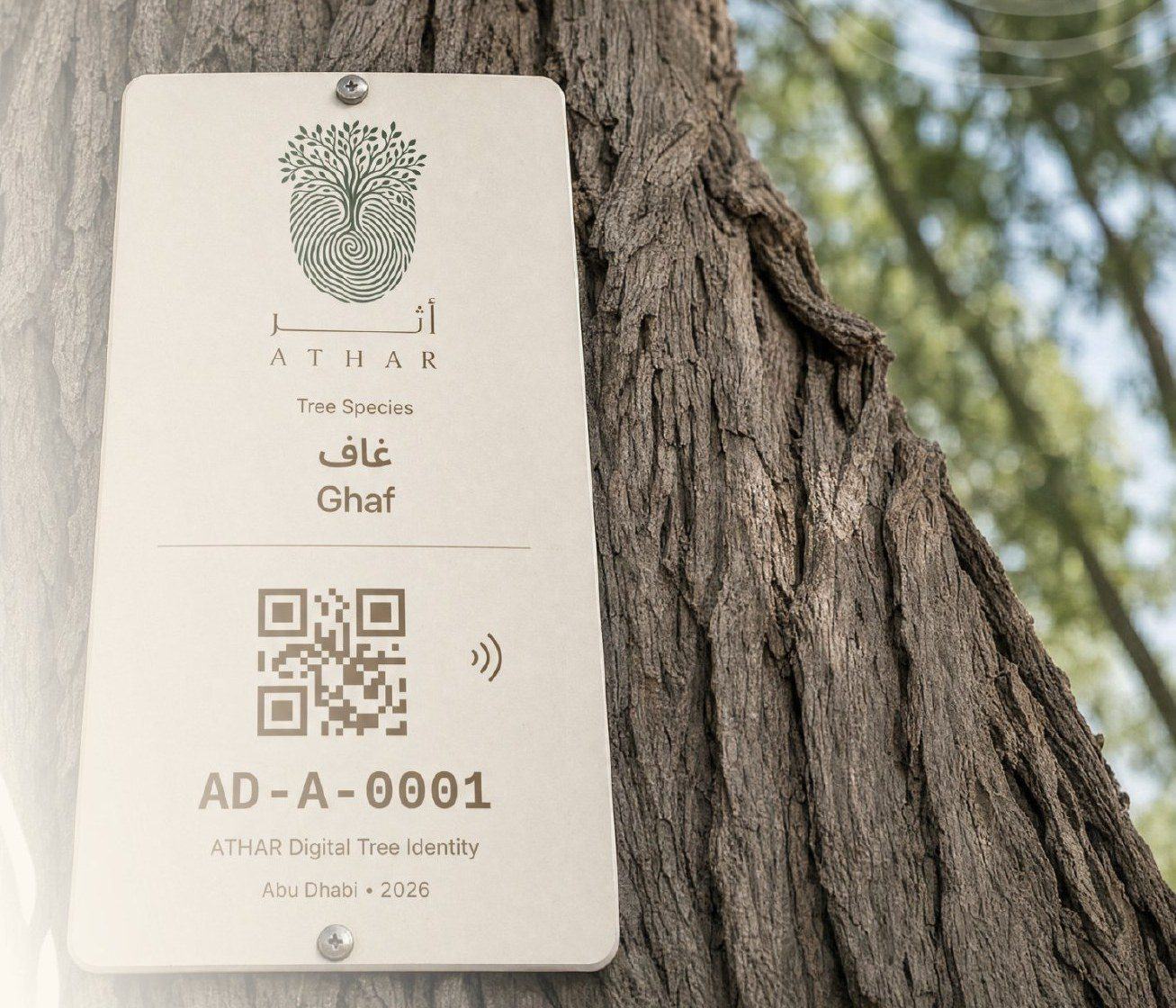 The ATHAR tag for tree AD-A-0001 fixed to a Ghaf trunk